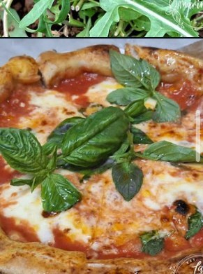 Margherita finished with fresh basil straight from the garden