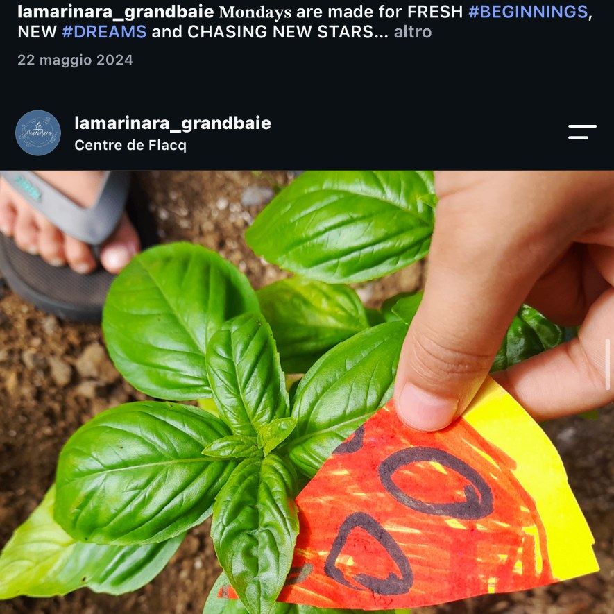 A basil plant and a hand-drawn paper pizza slice